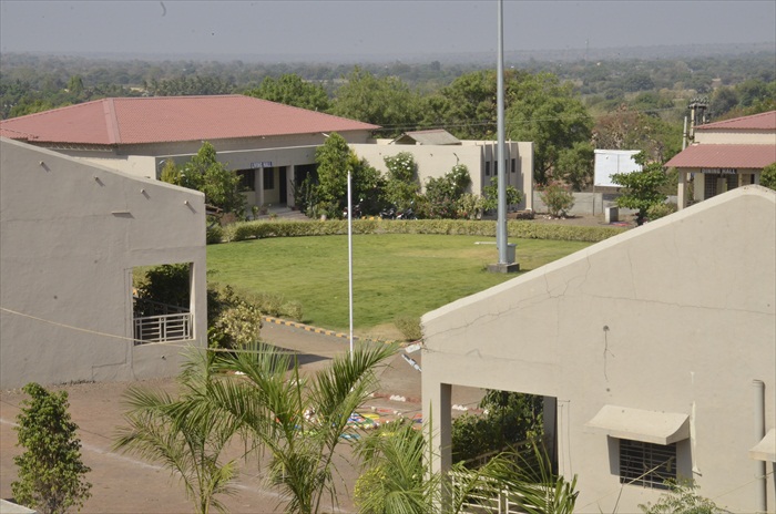 Plants: image 15 0f 21 thumb